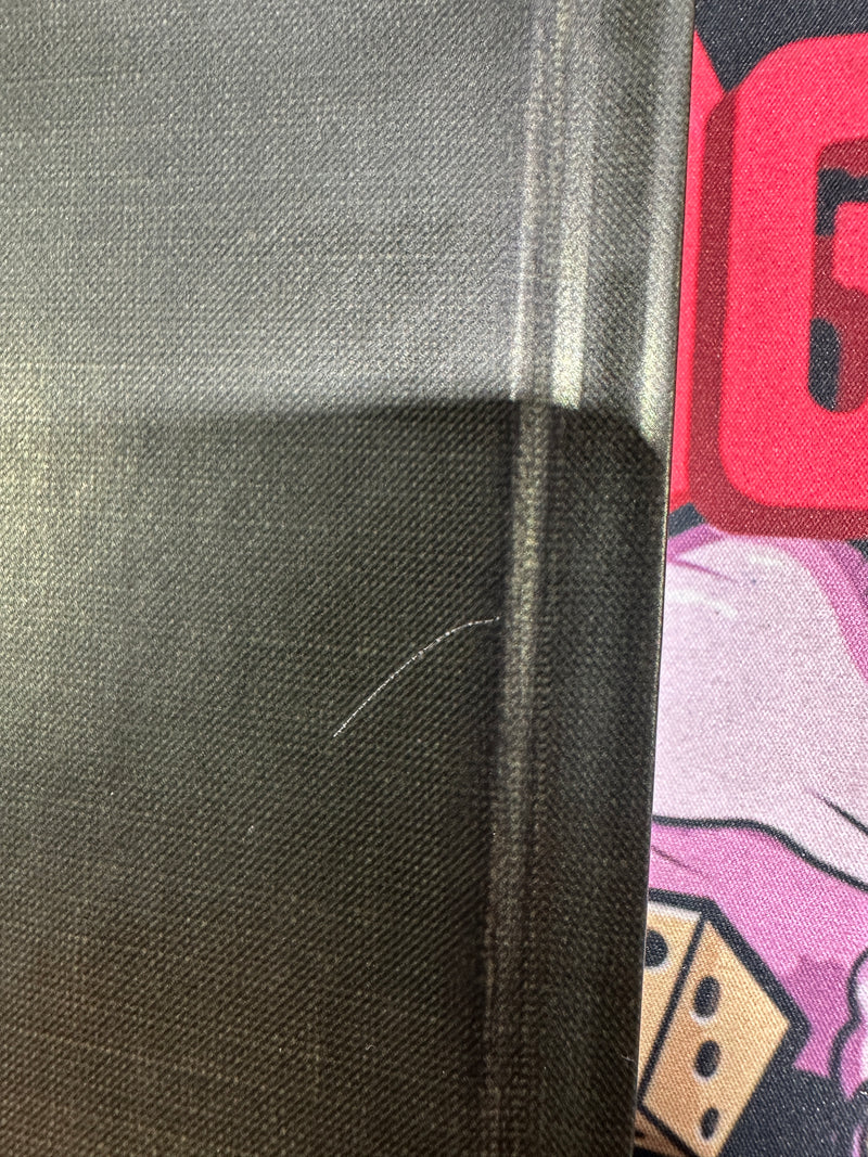 Advanced Dungeons & Dragons 2E: Dungeon Master Guide (Premium Reprint Edition)