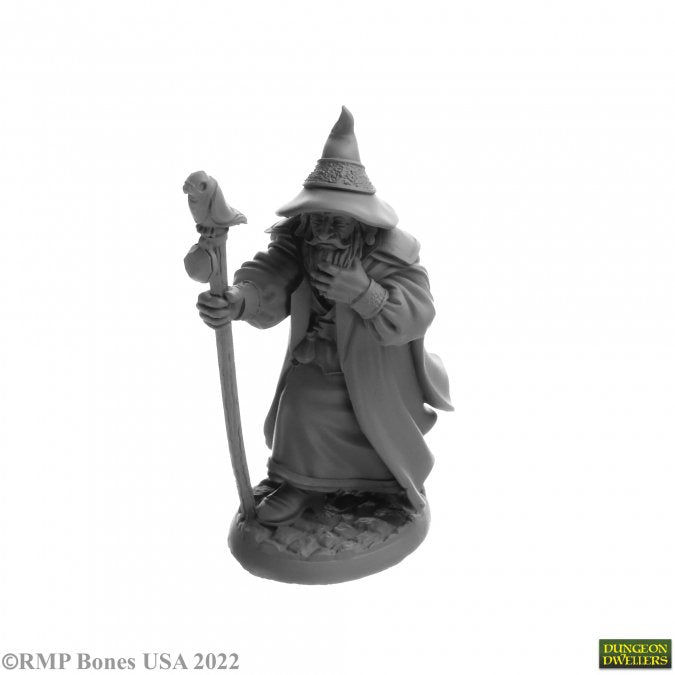 RPR 07068 Landol Griswold, Human Wizard