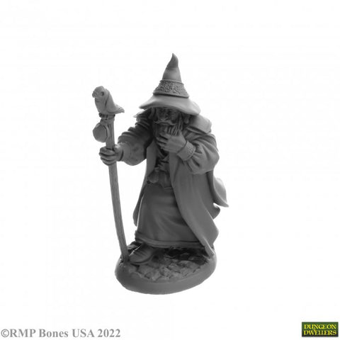 RPR 07068 Landol Griswold, Human Wizard