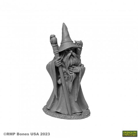 RPR 07077 Anuminar Winterbeard, Wizard