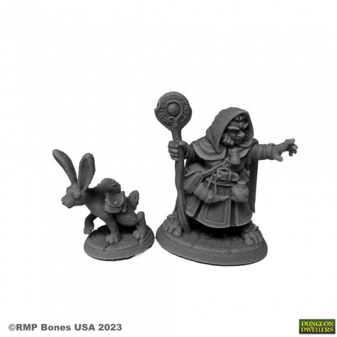 RPR 07096 - P - Hollis Grayheath Halfling Druid
