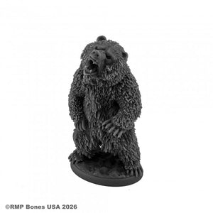 Gizzly Bear
