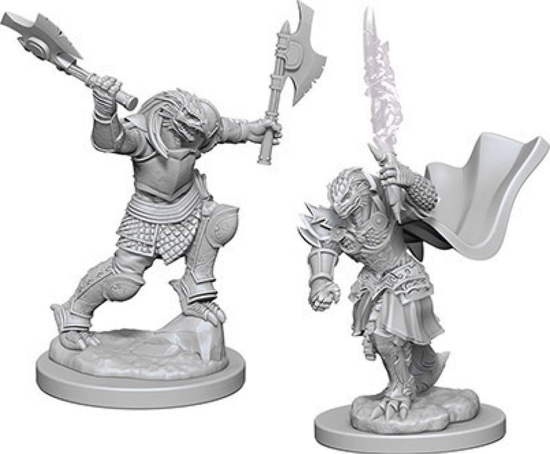 Nolzur's Marvelous Miniatures: Dragonborn Female Fighter (unpainted)