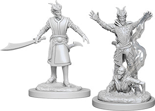 Nolzur's Marvelous Miniatures: Male Tiefling Warlock (unpainted)