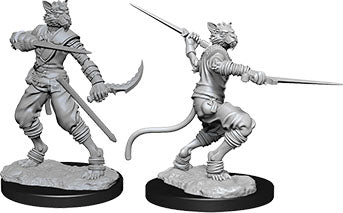 Nolzur's Marvelous Miniatures: Tabaxi Male Rogue (unpainted)