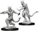 WZK  Tiefling Rogue