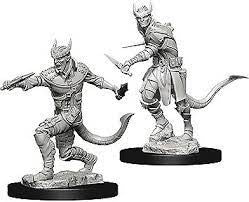WZK  Tiefling Rogue