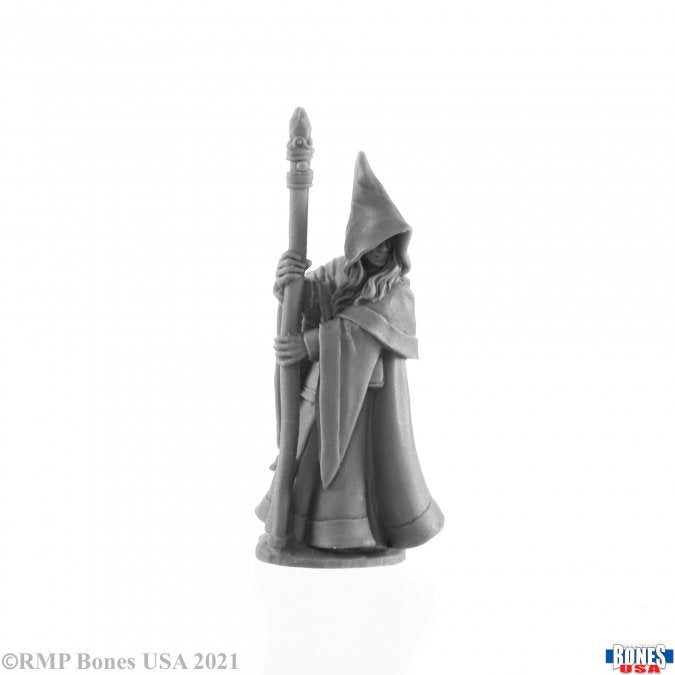 RPR 30027 - Anirion, Elf Wizard