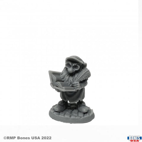 Stubb, Gnome Accountant RPR 30120