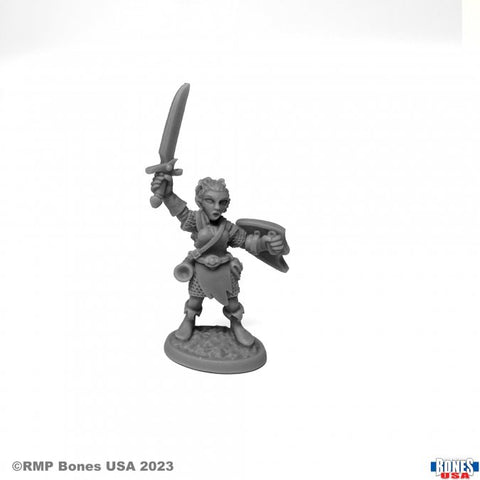 RPR 30130 Elliwyn Heatherlark, Gnome Bard