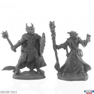 Dragonfolk Wizard and Cleric
