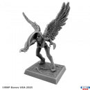 RPR 30230 Raven