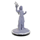 Nolzur's Marvelous Miniatures: Elf Wizards (unpainted)