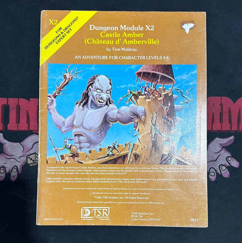 Dungeons & Dragons 1E - Castle Amber X2 (B)