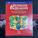 Dungeons & Dragons 1E: Drums on Fire Mountain X8