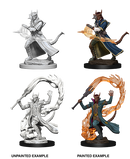 WZK 73201 Tiefling Sorcerer