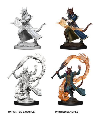 WZK 73201 Tiefling Sorcerer