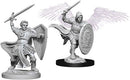 WZK 73342 Aasimar Paladin