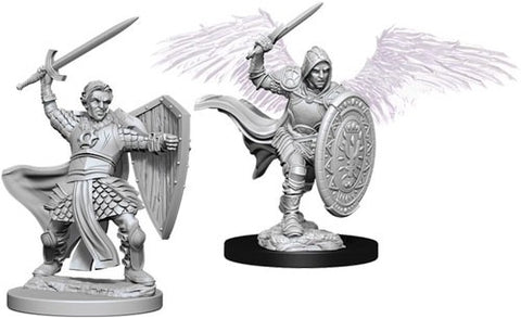 WZK 73342 Aasimar Paladin