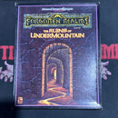 Advanced Dungeons & Dragons 2E: Forgotten Realms - The Ruins of UnderMountain B