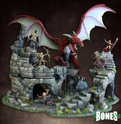 RPR 77381 Dragons Don't Share Boxed Set