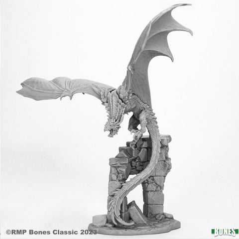 RPR 77981 - P - Blacksting the Wyvern