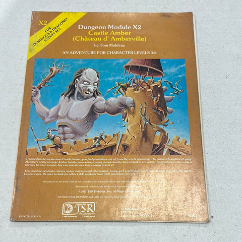 Dungeons & Dragons 1E: Castle Amber X2