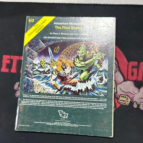 Advanced Dungeons & Dragons 1E: The Final Enemy U3