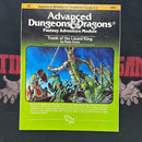 Advanced Dungeons & Dragons 1E: Tomb of the Lizard King I2