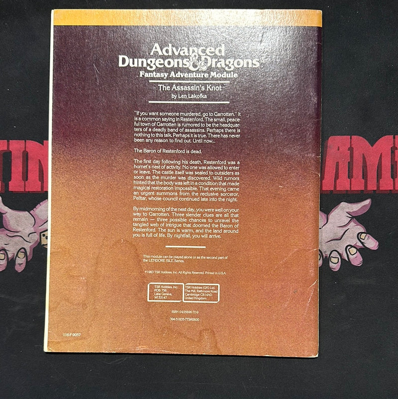 Advanced Dungeons & Dragons 1E: The Assassin’s Knot L2