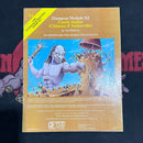 Dungeons & Dragons 1E - Castle Amber X2 C