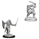 WZK 73341 Dragonborn Female Paladin