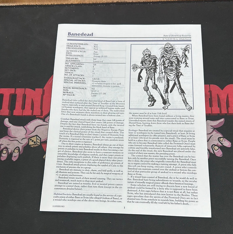 Advanced Dungeons & Dragons 2E: Forgotten Realms - Ruins of Zhentil Keep