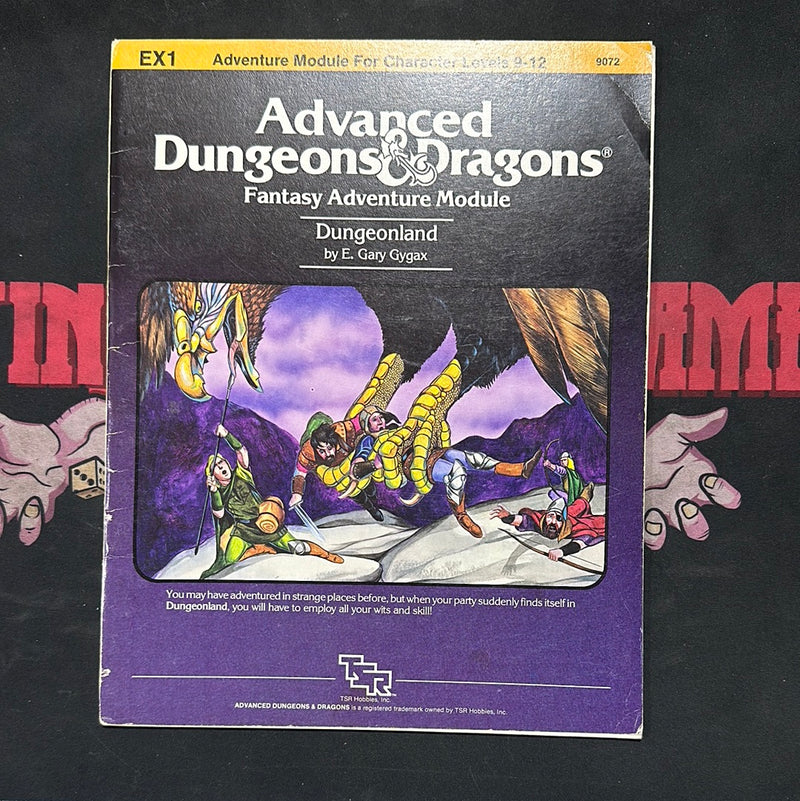 Advanced Dungeons & Dragons 1E: Dungeonland EX1