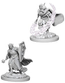 WZK 73205 Elf Male Cleric