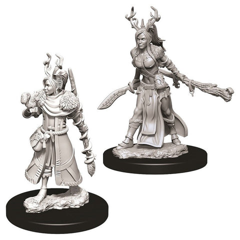 WZK 73701 Human Druid Female
