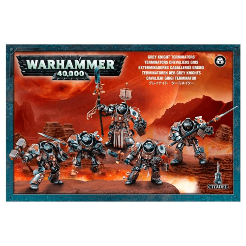 Grey Knight Terminators (old box)