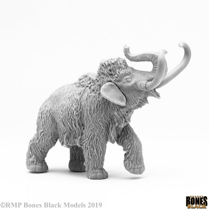 Pygmy Mammoth - RPR 44111