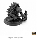 RPR 44189 Spikeshell Anti-Paladin