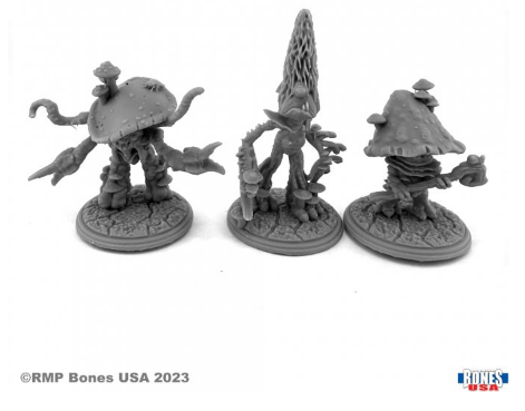 RPR 30165 FUNGOIDS (3)