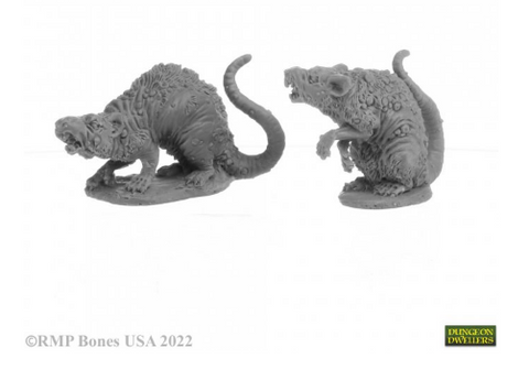 BARROW RATS (2)