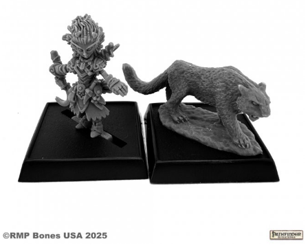 LINI AND DROOGAMI, ICONIC GNOME DRUID RPR 89110