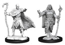 WZK 90221 Human Druid Male