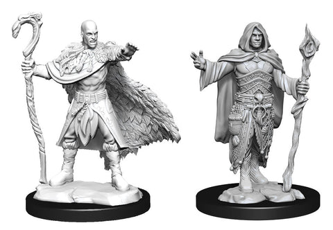 WZK 90221 Human Druid Male