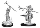 WZK 90223 Human Druid Female
