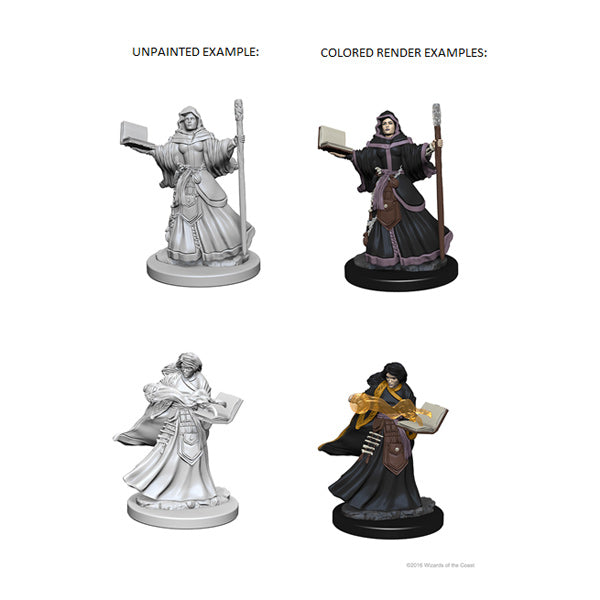 Nolzur's Marvelous Miniatures: Human Female Wizard (unpainted)