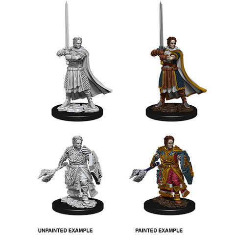 WZK 73672 Human Male Cleric