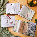 Hobbit & Lord of the Rings Illustrated By Alan Lee Box Set