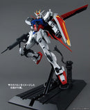 MG GAT-X105 AILE STRIKE GUNDAM VER.RM