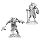 WZK 90402 Earth Genasi Fighter